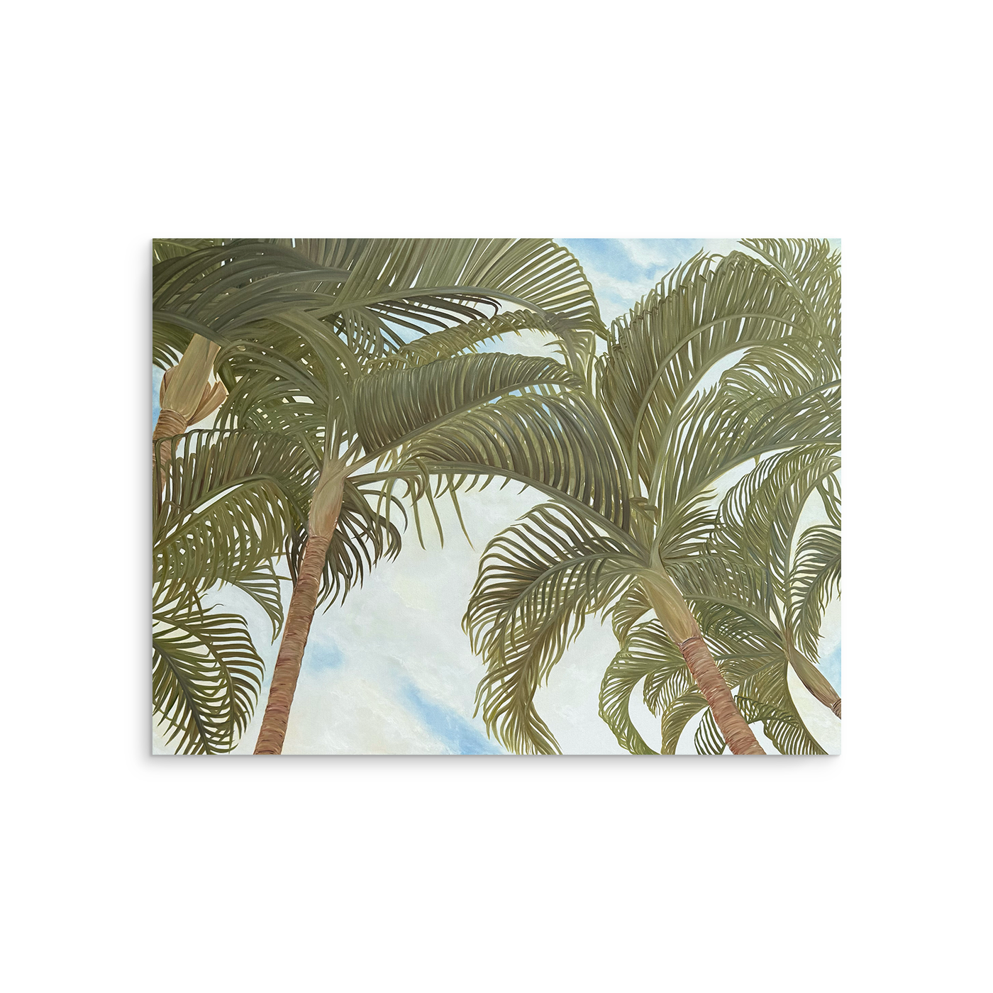 Dancing Palms