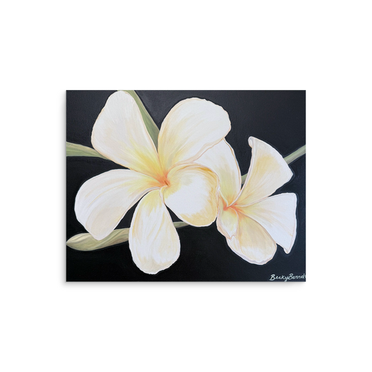 "Plumeria" Fine Art Print