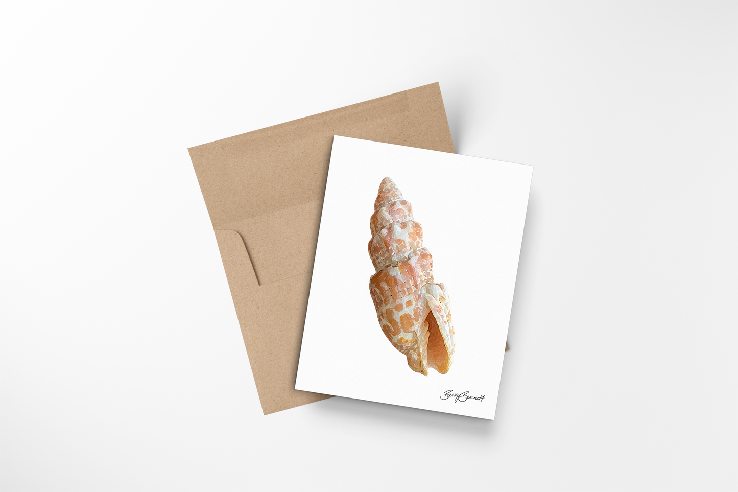 Note Cards