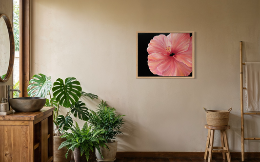 Hibiscus