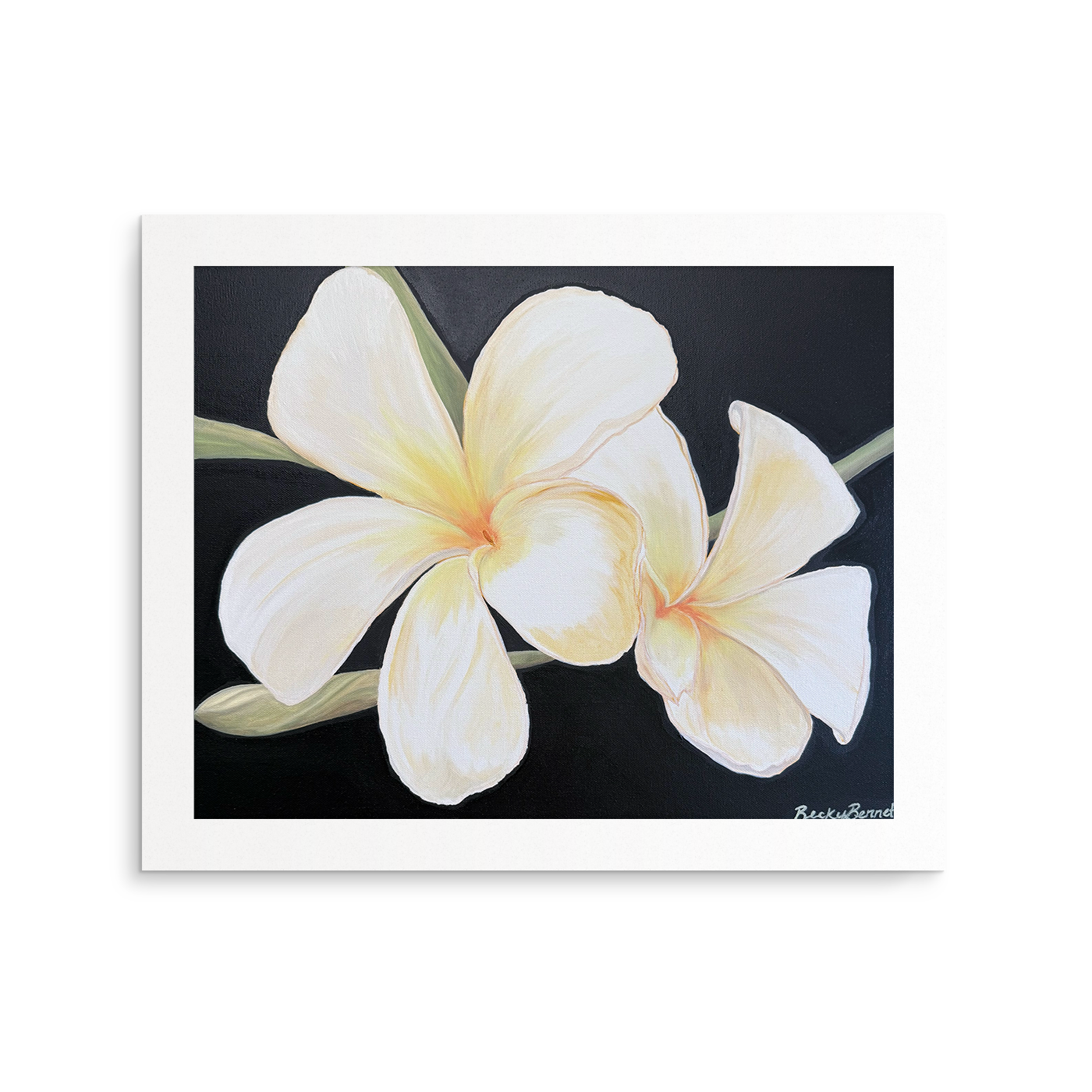 "Plumeria" Fine Art Print