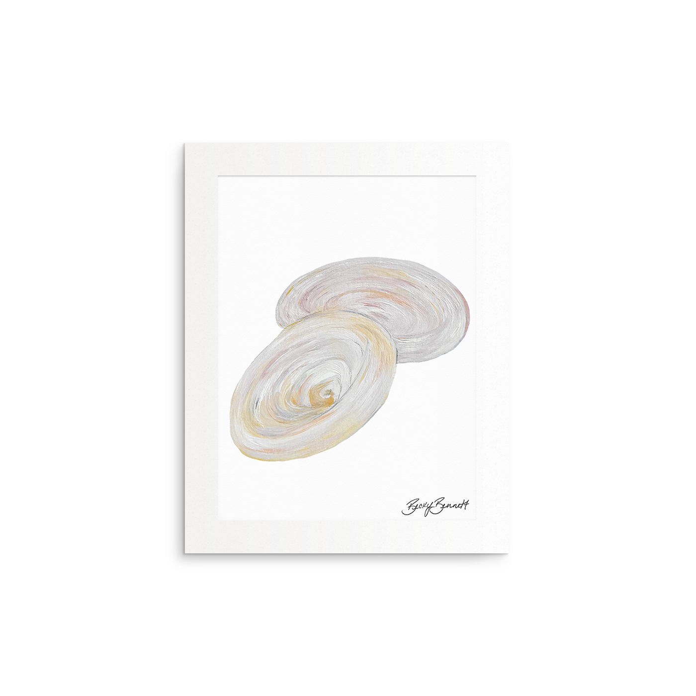 Shell Collection Fine Art Prints (Medium)
