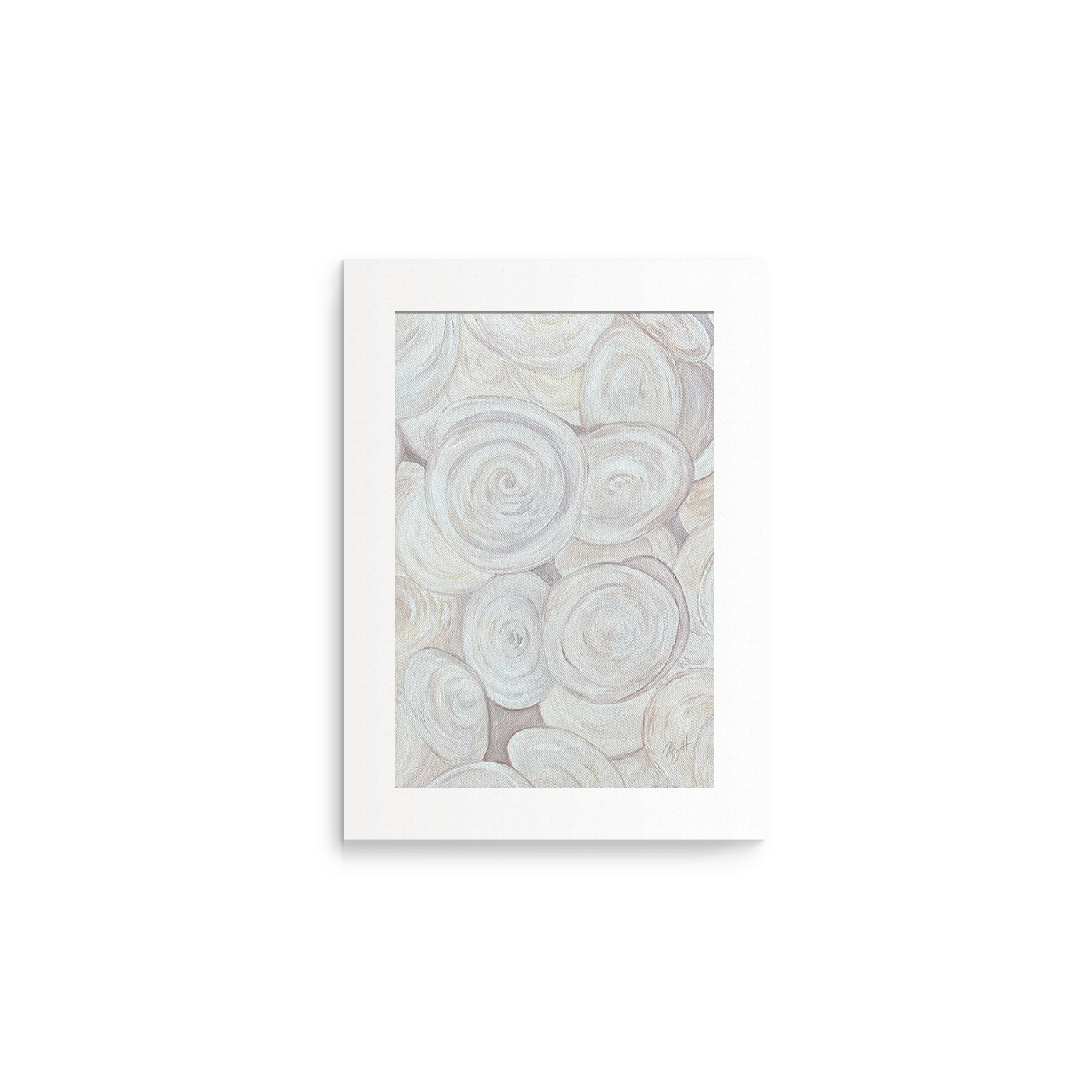 Shell Collection Fine Art Prints (Medium)