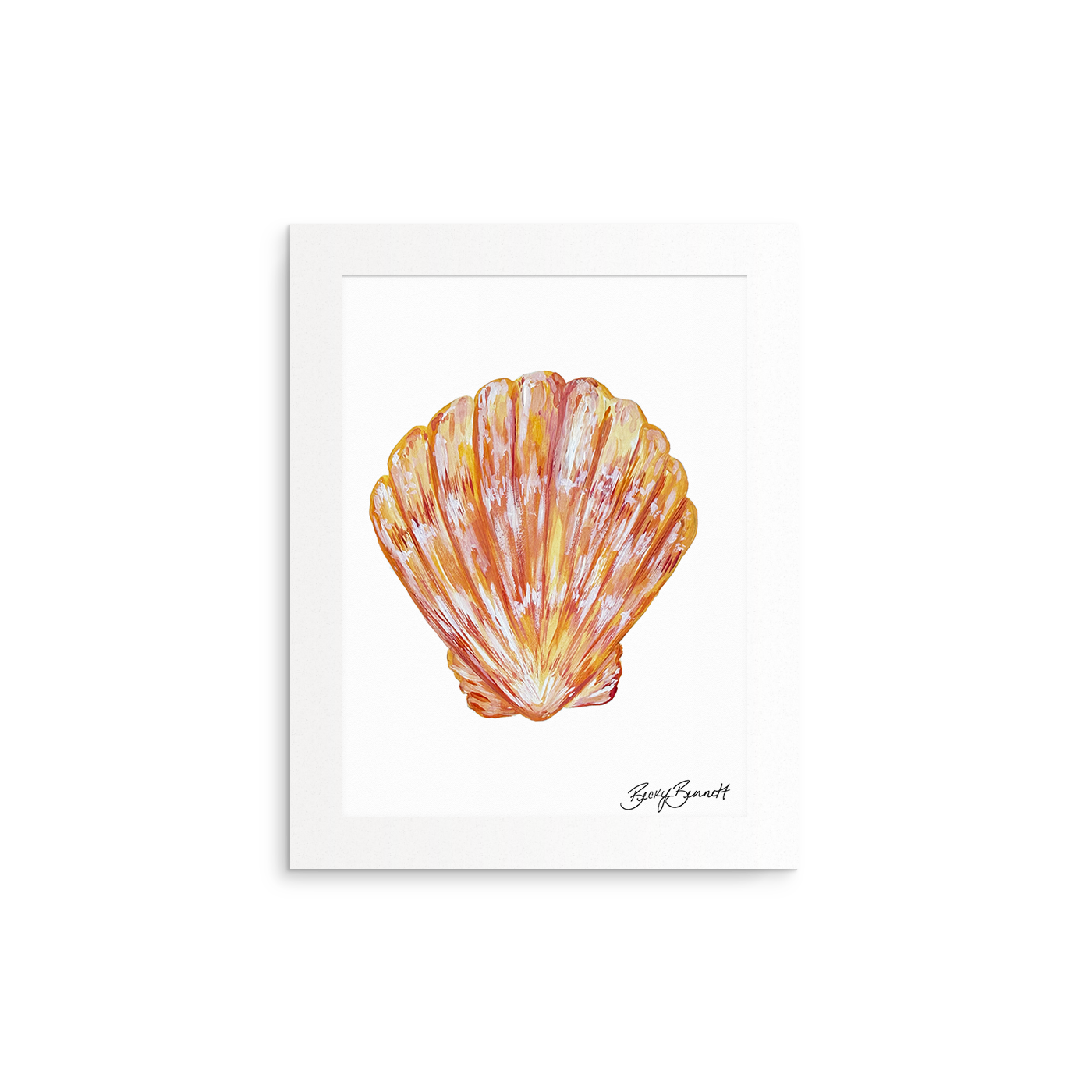 Shell Collection Fine Art Prints (Medium)