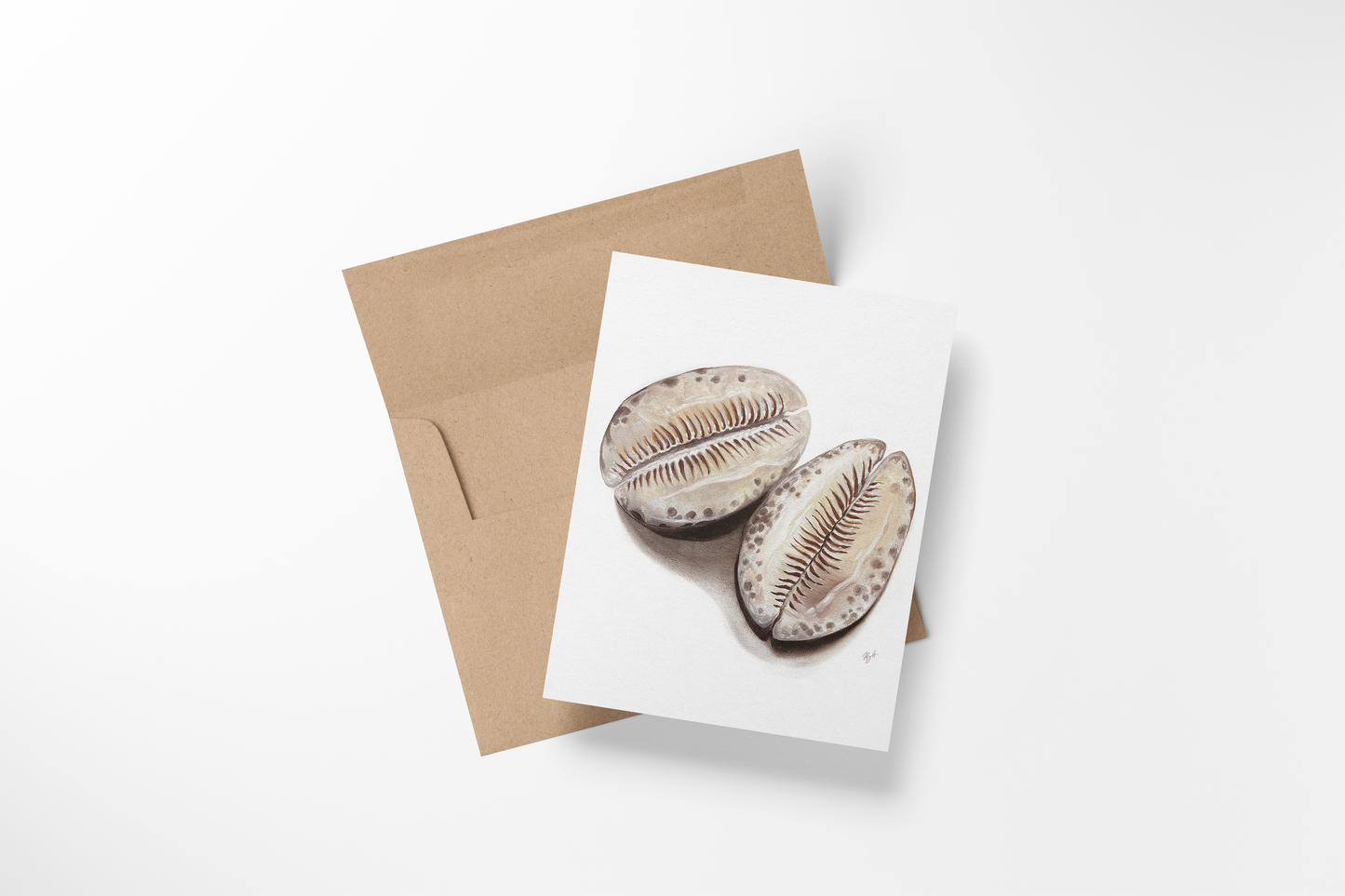 Note Cards