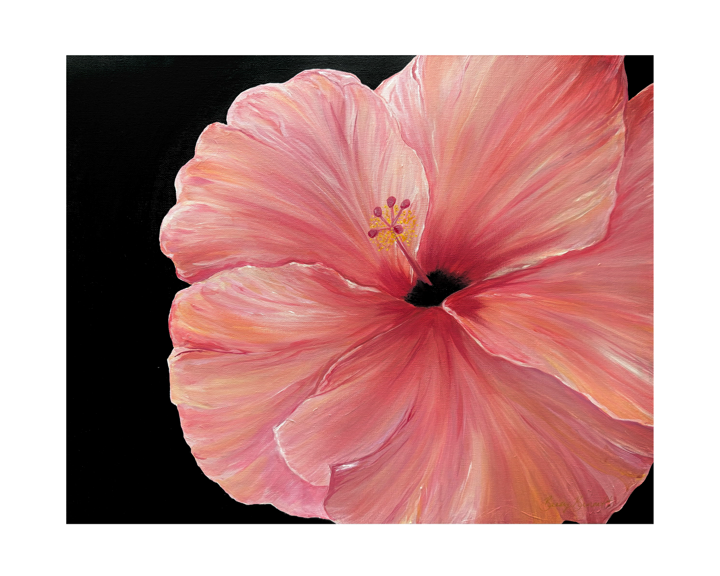Hibiscus