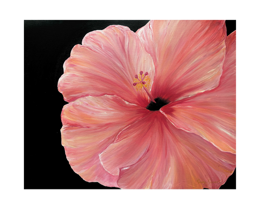 Hibiscus