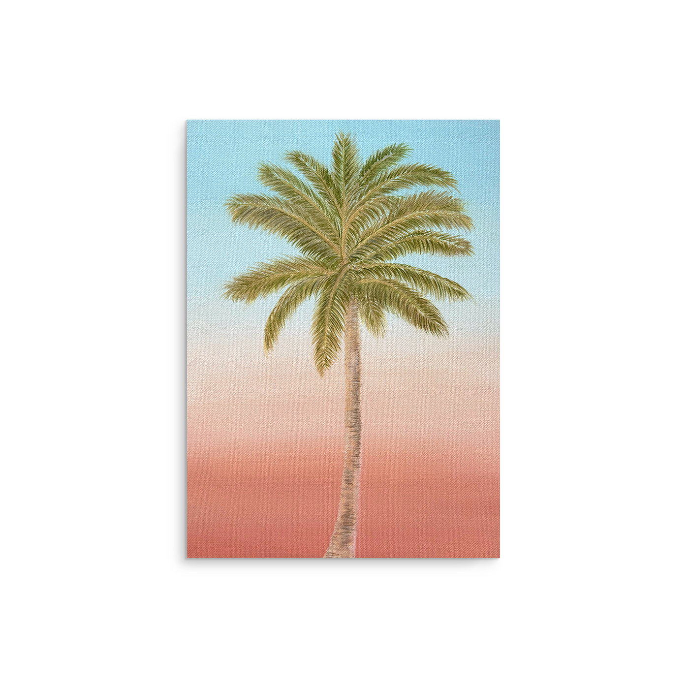 Sweet Little Palm Tree