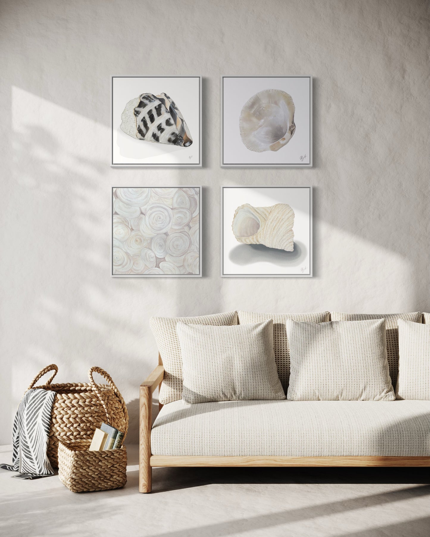 Shell Collection