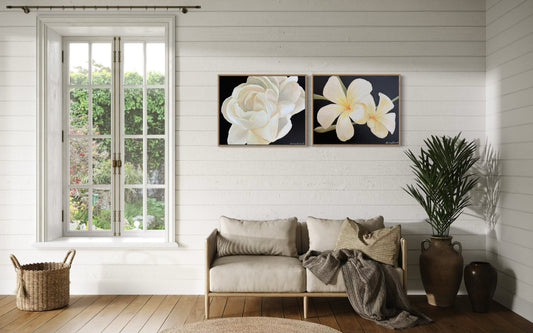 Plumeria